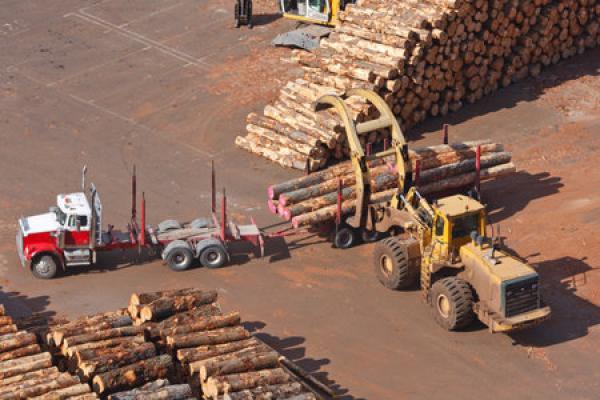 Logging truck